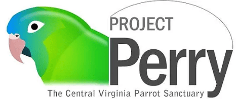 Screen Shot 2019-09-17 at 6.17.53 AM